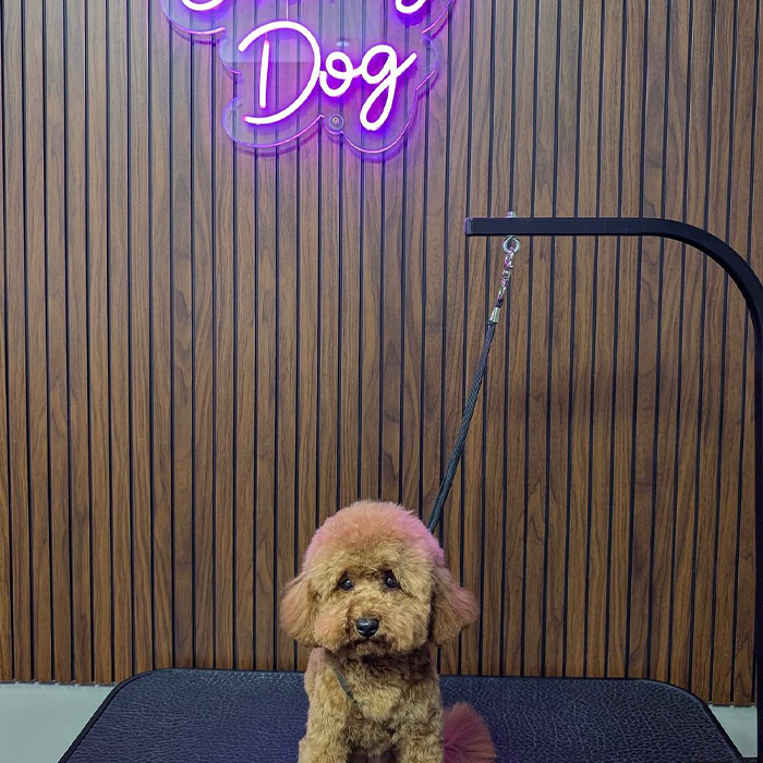 Foto Instagram di Oh My Dog: dettaglio di un trattamento