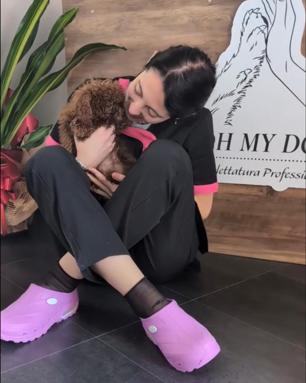L'interno del salone Oh My Dog a Rende, con la postazione di toelettatura